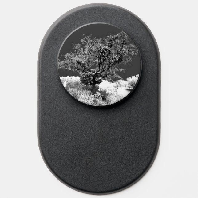 PopSocket ART AND DESIGN (Popsocket)