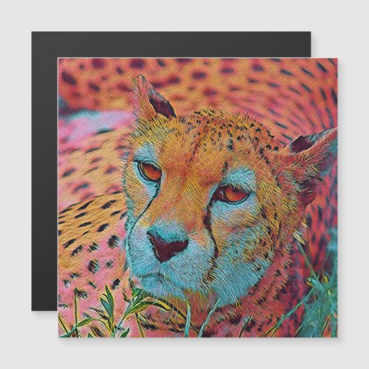 popular Animals - Cheetah (Front/Back)
