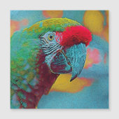 popular Animals - Parrot (Front)