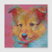 popular Animals - Puppy (Front)