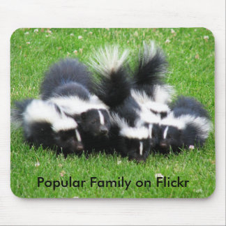 Popular Flickr Family Mouse Pad