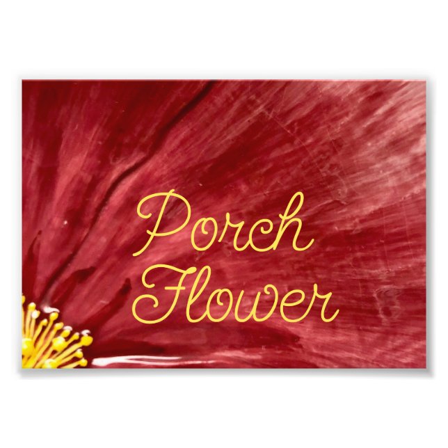 Porch Flower / Original / Photo Print (Front)
