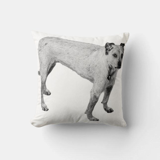 Porch Light Companion Throw Pillow (Front)