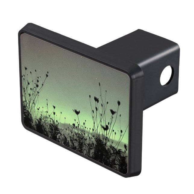 Porch View / Weeds / Hitch Cover (Top Right)