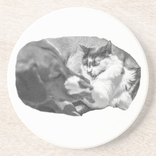 Porchlight Pause Coaster (Front)