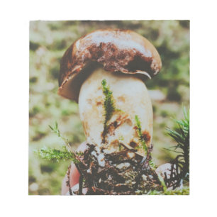 Porcini Mushroom in Swedish Forest Notepad