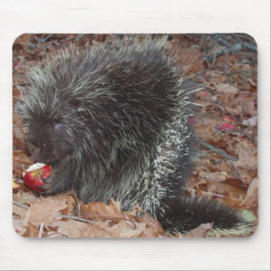 Porcupine and Apple Mouse Pad