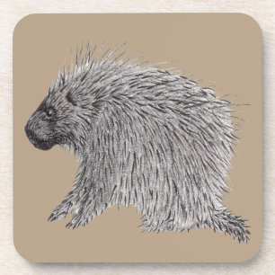Porcupine Beverage Coaster