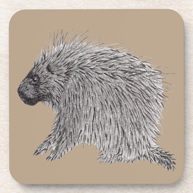 Porcupine Beverage Coaster (Front)