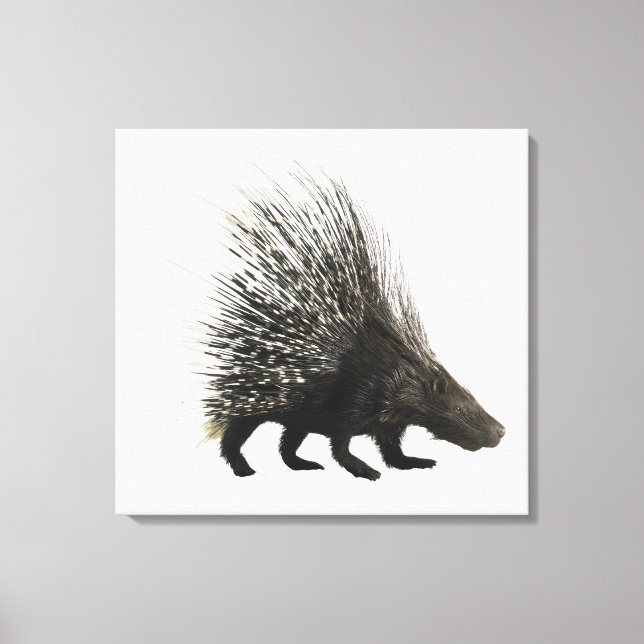 Porcupine Canvas Print (Front)