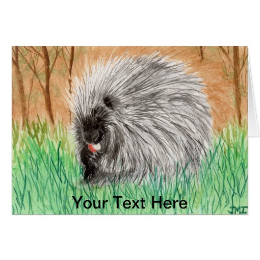 Porcupine Cards (Front Horizontal)