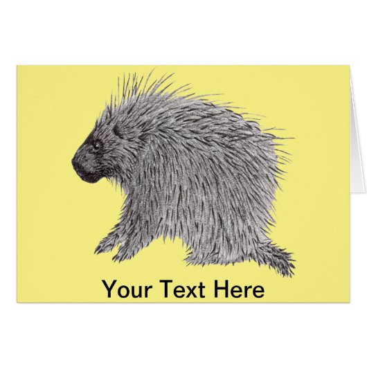 Porcupine Cards (Front Horizontal)