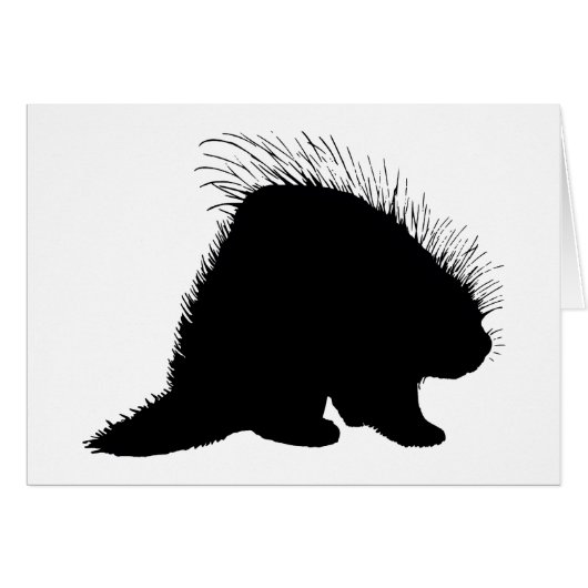 Porcupine Cards (Front Horizontal)