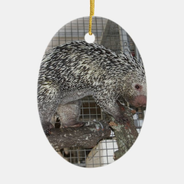 Porcupine Ceramic Ornament (Front)