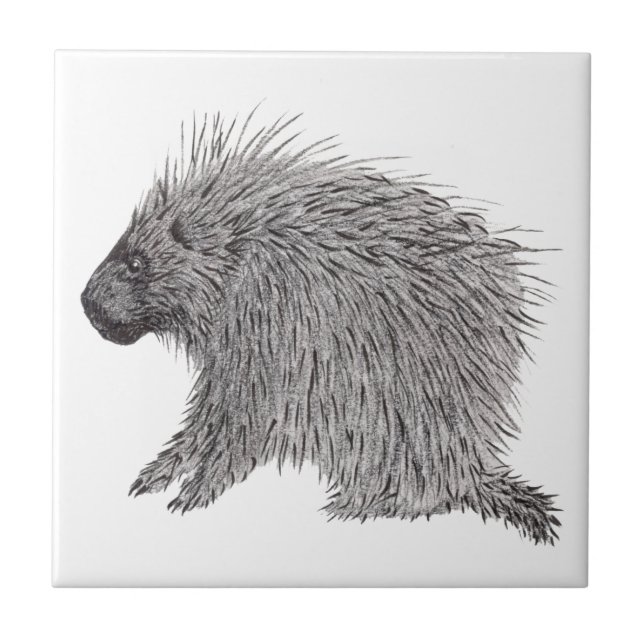 Porcupine Ceramic Tile (Front)