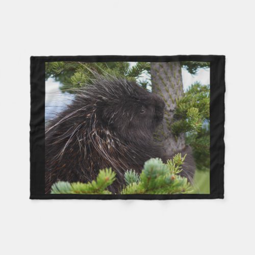 porcupine fleece blanket
