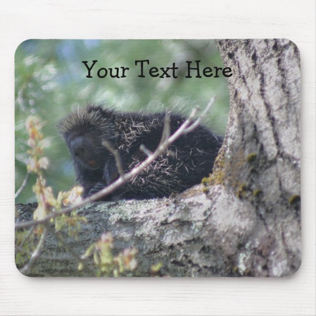 Porcupine In Tree Animal Nature Photo Mousepad (Front)