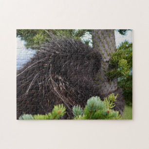 Porcupine Jigsaw Puzzle