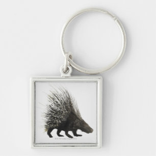 Porcupine Keychain