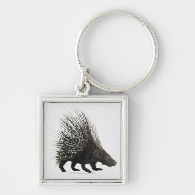 Porcupine Keychain (Front)