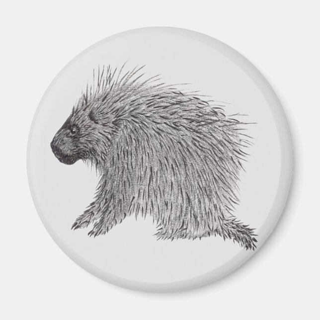 Porcupine Magnet (Front)