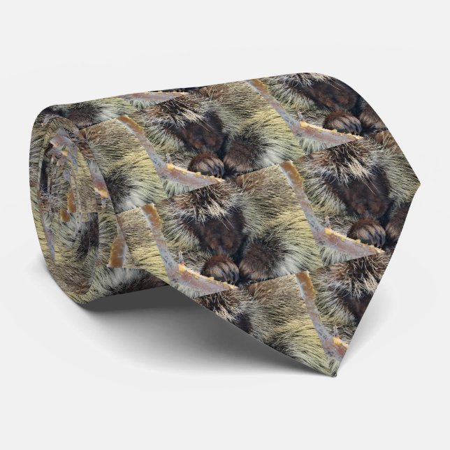Porcupine Men's Tie (Rolled)