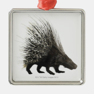 Porcupine Metal Ornament