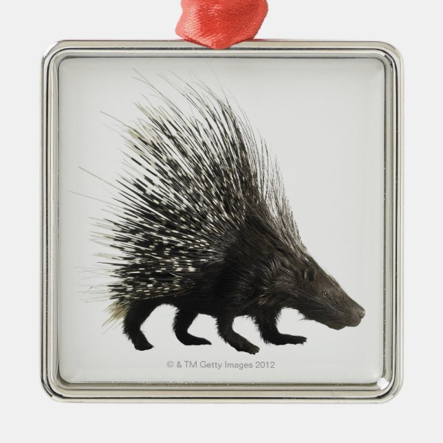Porcupine Metal Ornament (Front)