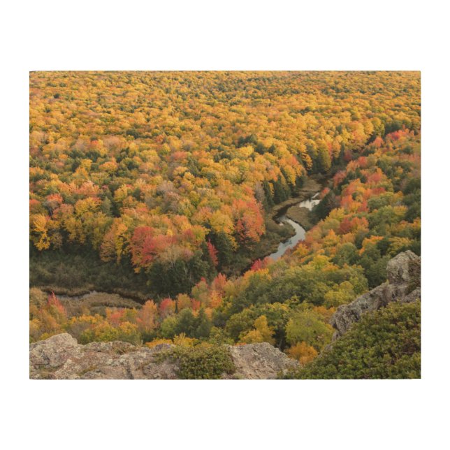 Porcupine Mountains Wilderness State Park Wood Wall Art (Front)