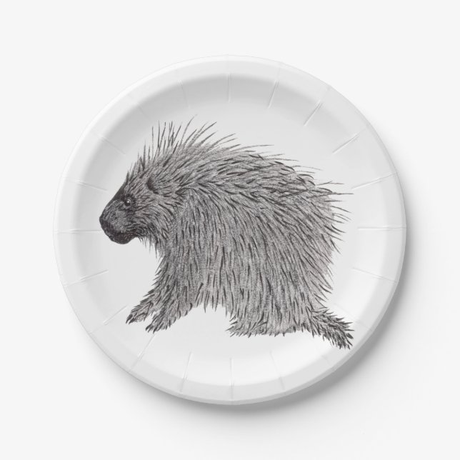 Porcupine Paper Plates (Front)