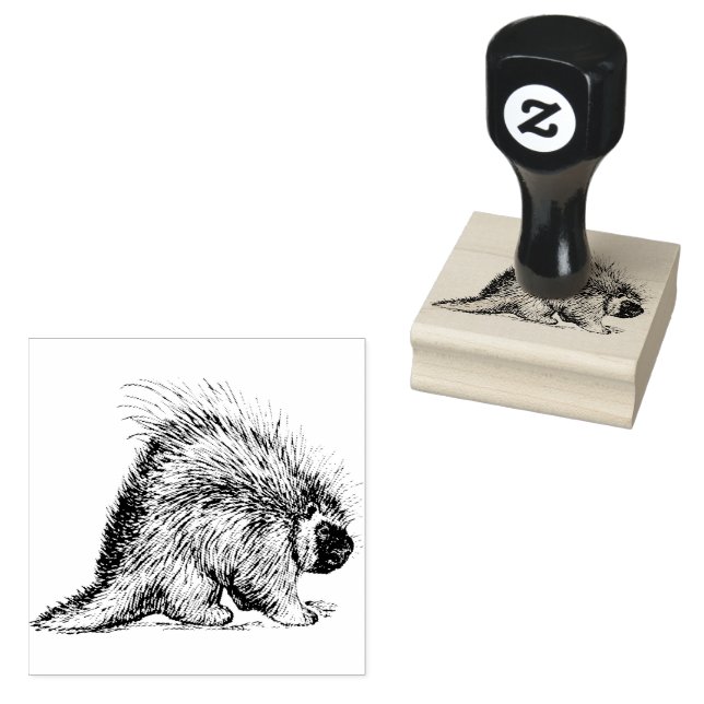 Porcupine Quill | Rubber Stamp (Stamped)