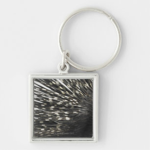 Porcupine quills keychain