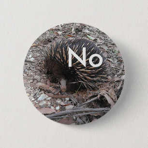Porcupine says: No Button