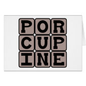 Porcupine, Sharp-Quilled Rodent (Front Horizontal)