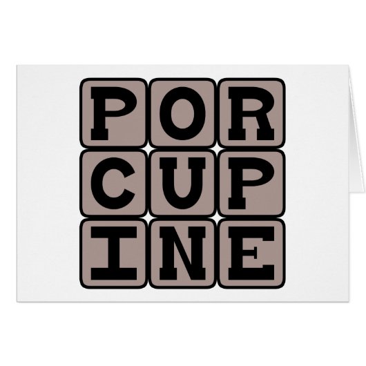 Porcupine, Sharp-Quilled Rodent (Front Horizontal)