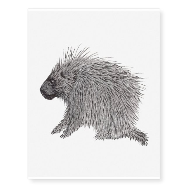 Porcupine Temporary Tattoos (Front)