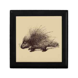 porcupine Vintage illustration Gift Box