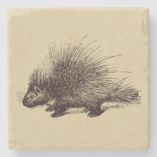 porcupine Vintage illustration Stone Coaster