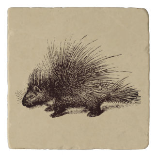 porcupine Vintage illustration Trivet