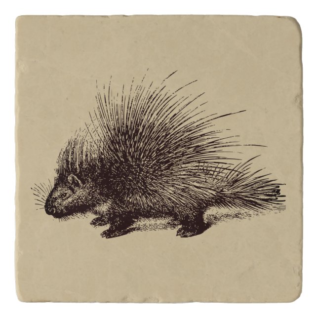 porcupine Vintage illustration Trivet (Front)