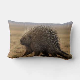 Porcupine vs. Dog Lumbar Pillow