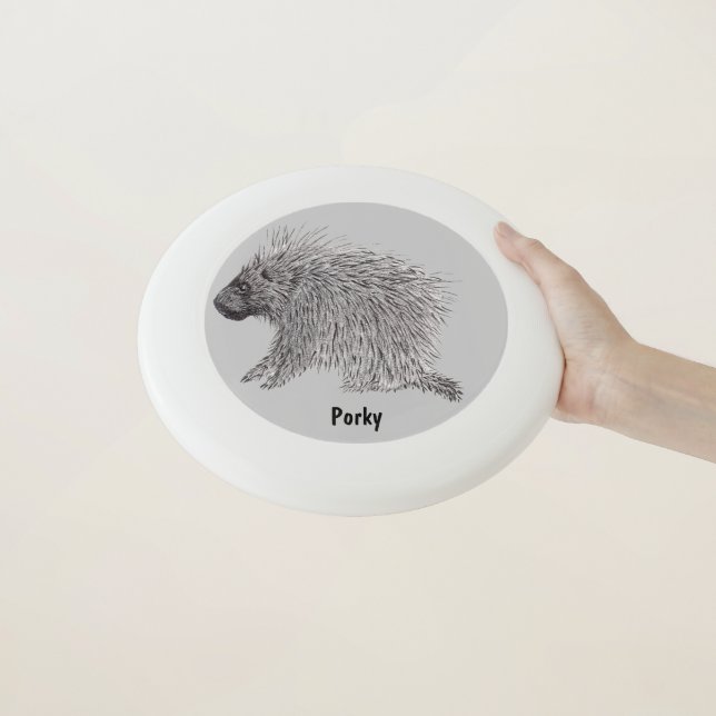 Porcupine Wham-O Frisbee (In Hand)