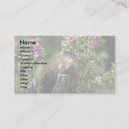 Customizable Porcupine-youngster in wild rose business card template