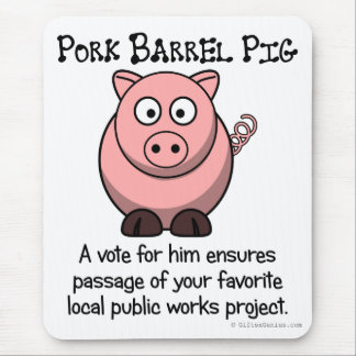 Image result for pork barrel spending