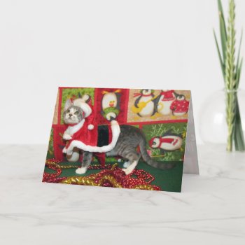 Pork Chop as Santa Claws - Cat / Kitten Christmas Holiday Card