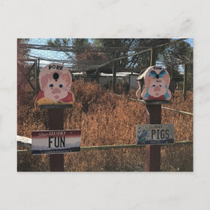 Pork Chop, Fun Pigs, Idaho Funny Signs Postcard
