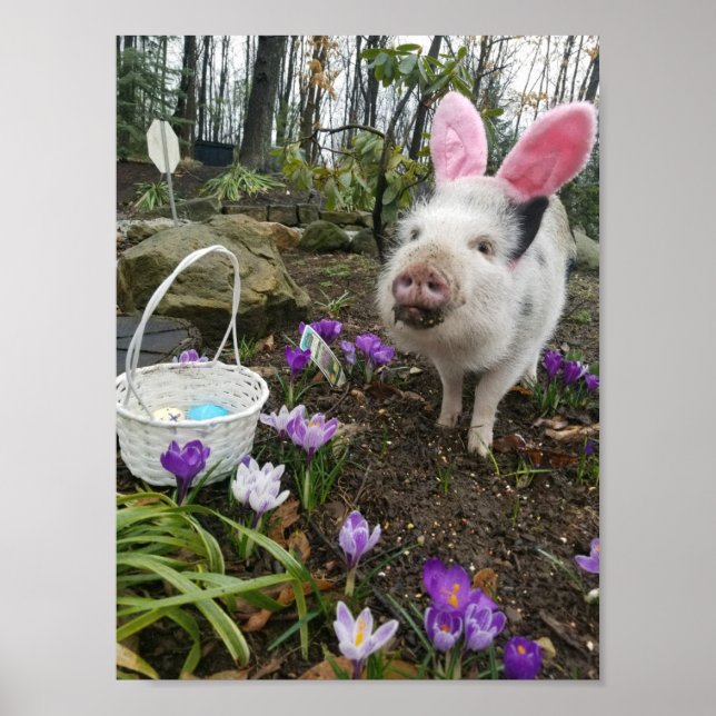 "Pork Chop" The Easter Pig! Poster (Front)