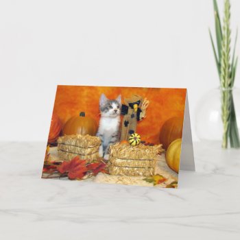 Pork Chop's Fall / Thanksgiving Card - Cat / Kitte