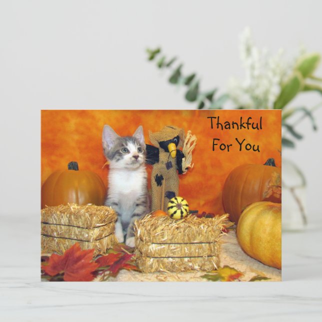 Pork Chop's Thanksgiving Cat Flat Card (Standing Front)