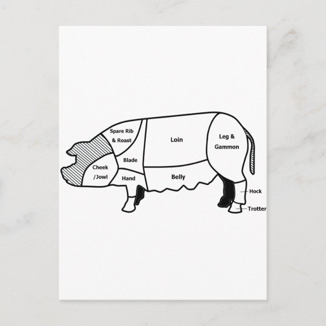 Pork Diagram Postcard (Front)